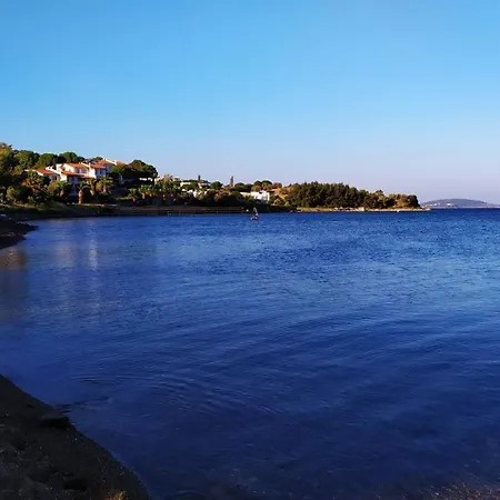 Vila Arzu